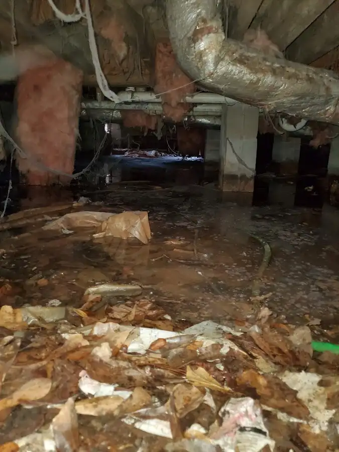 Crawl space flood assessment for Leak Detection & Repair in University Park